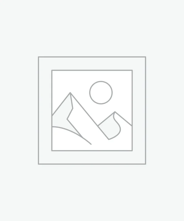 Air Purifying Plants